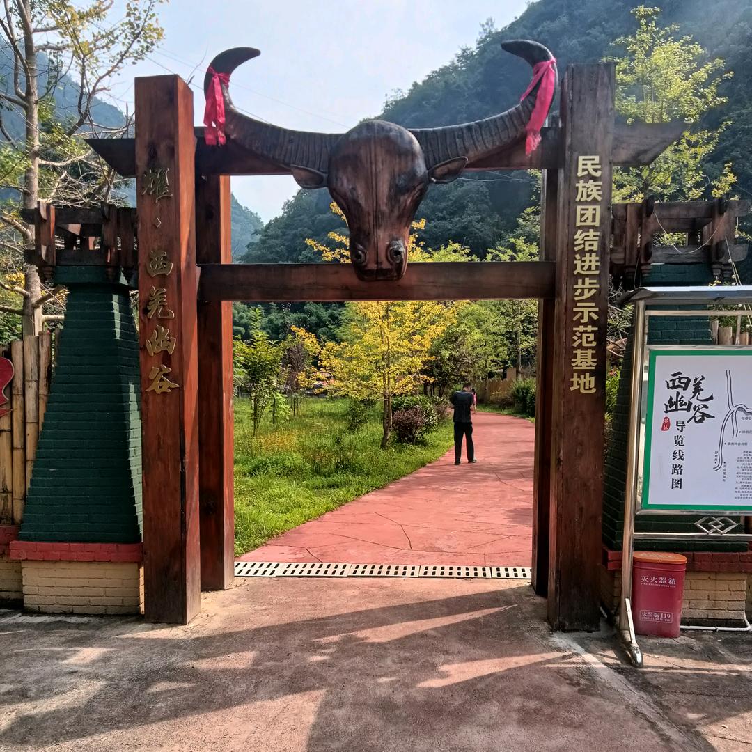 赵嘉林