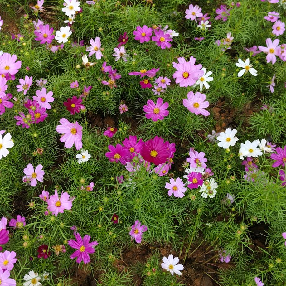 伤心的我