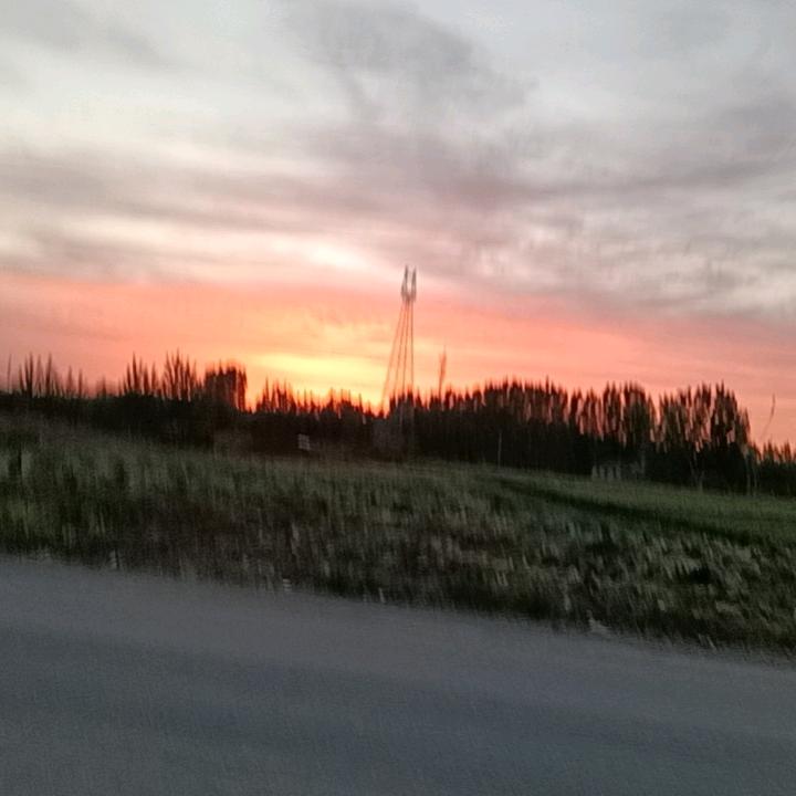顺其自然🌹