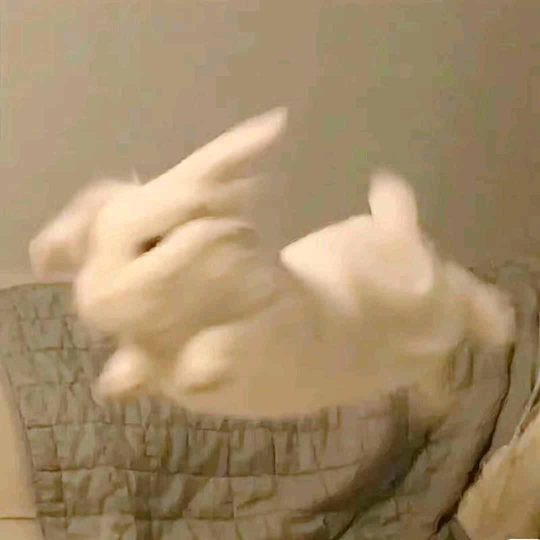 吐个泡泡🫧
