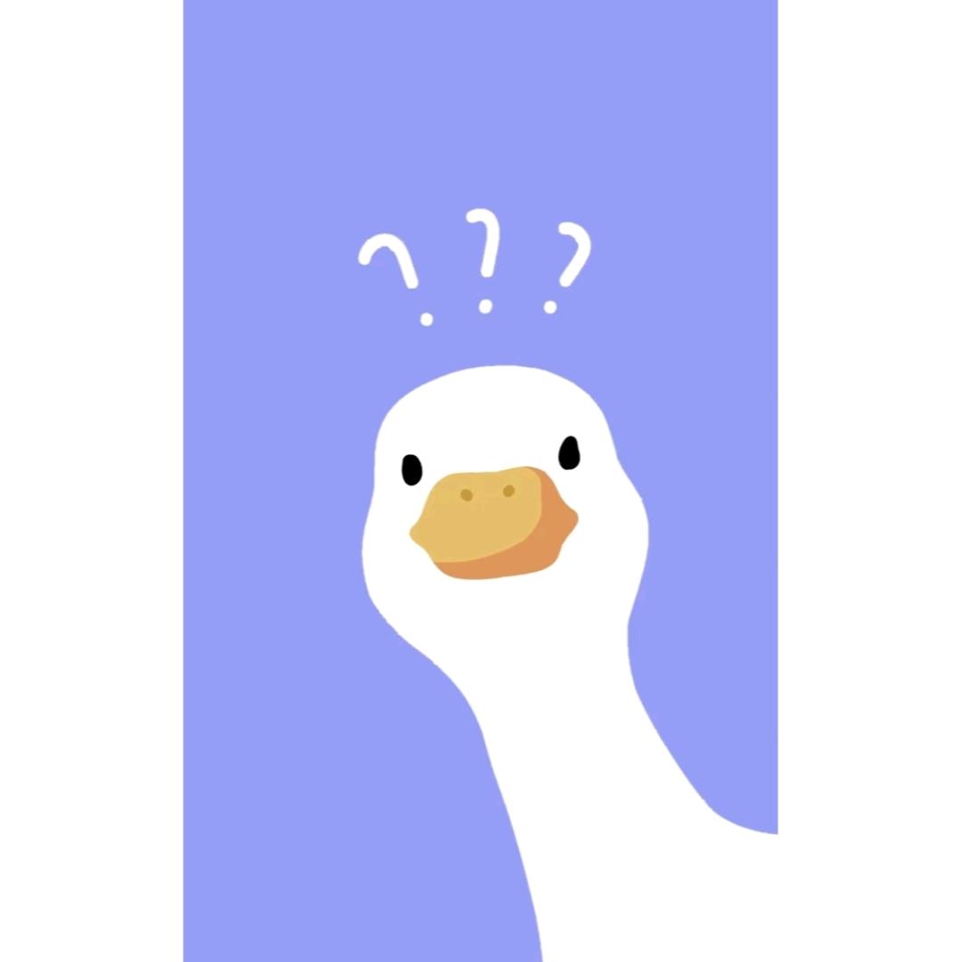 冬尔