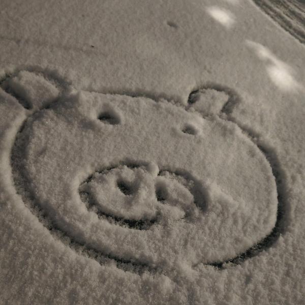 吃葡萄不吐西瓜皮