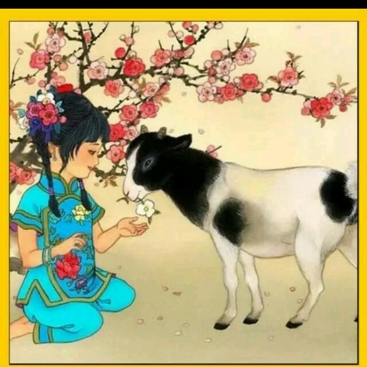 万吉广告 之 天崖同命鸟