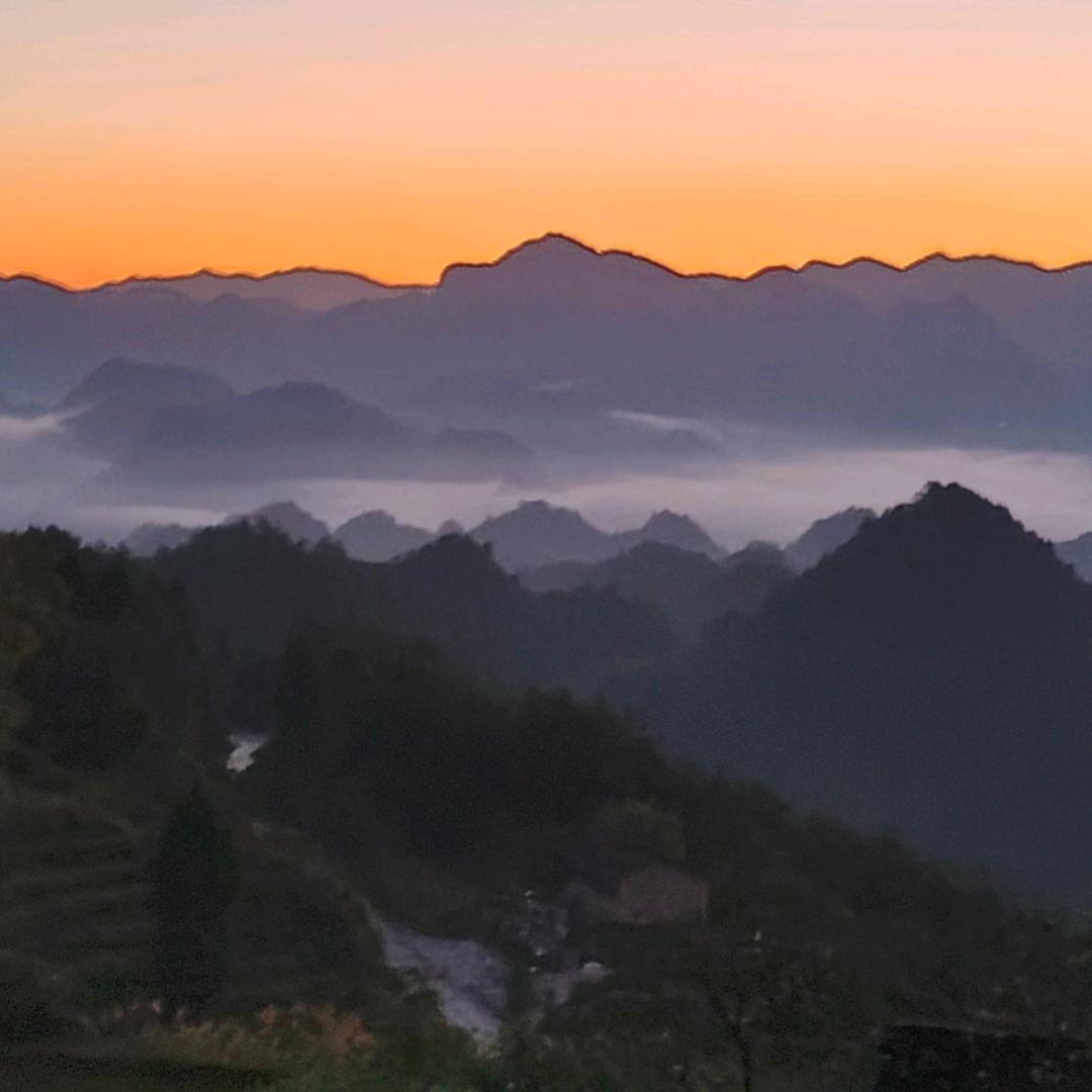 庹汉军（运达园艺苗圃场）