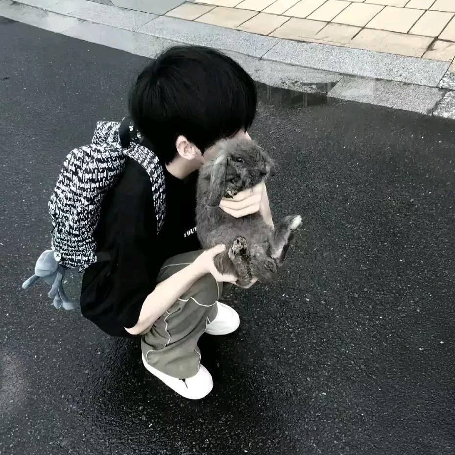 纯牛奶