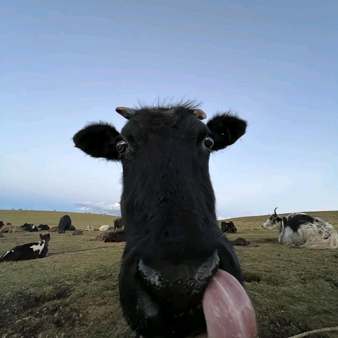 Hi～啊堡