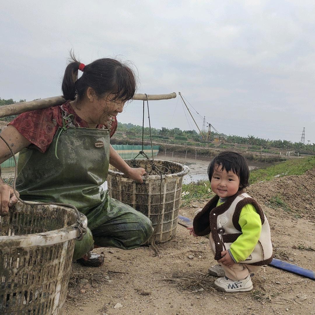 种莲藕之余～搞搞农家乐