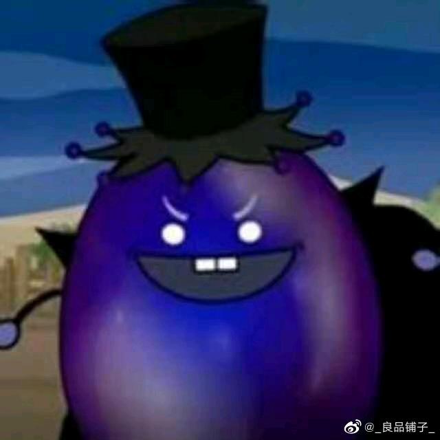 被重名的黑大帅