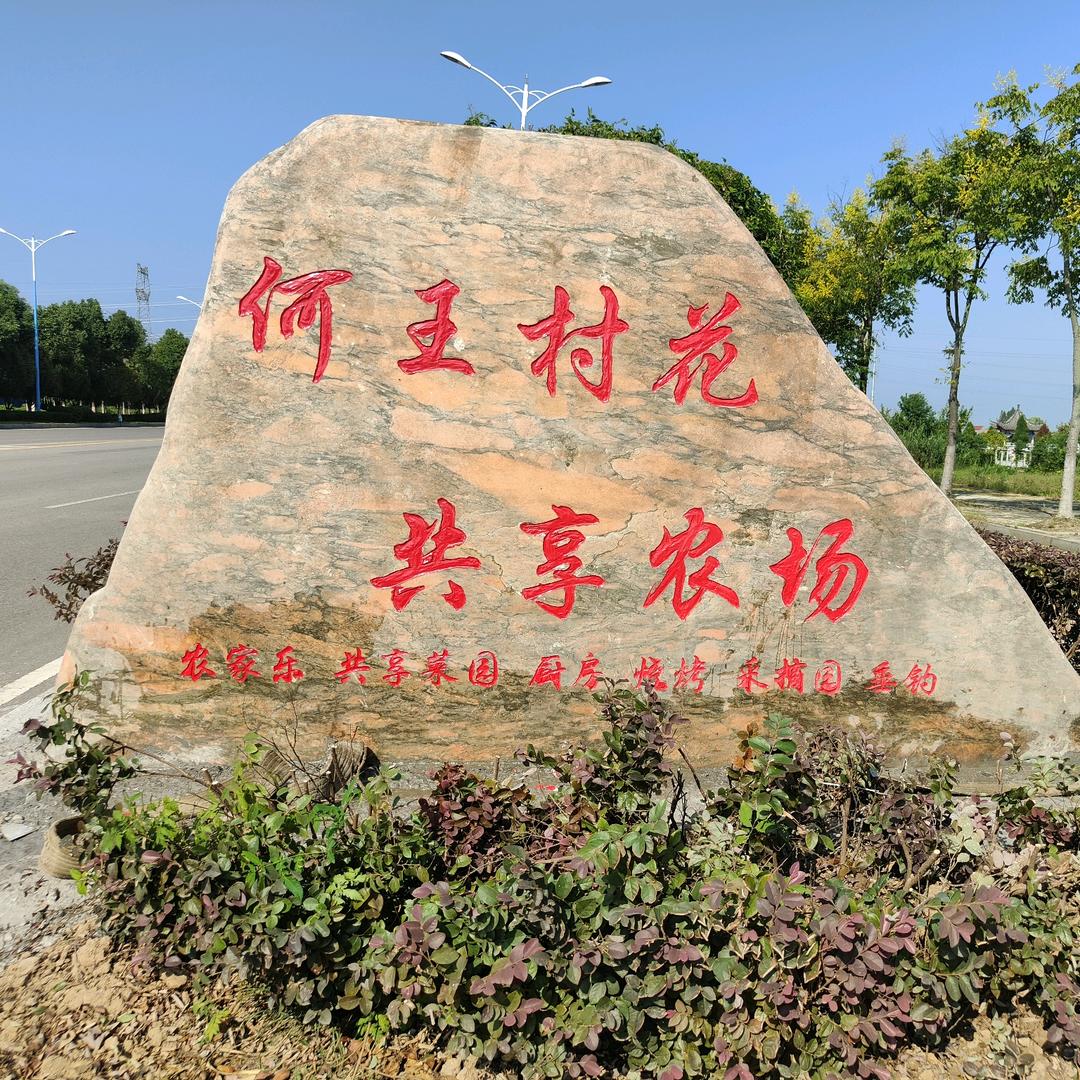 何王村花共享农场（刚锅）