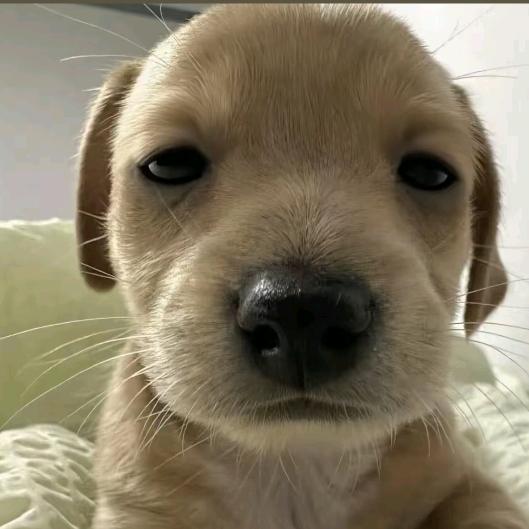 睡觉不眨眼
