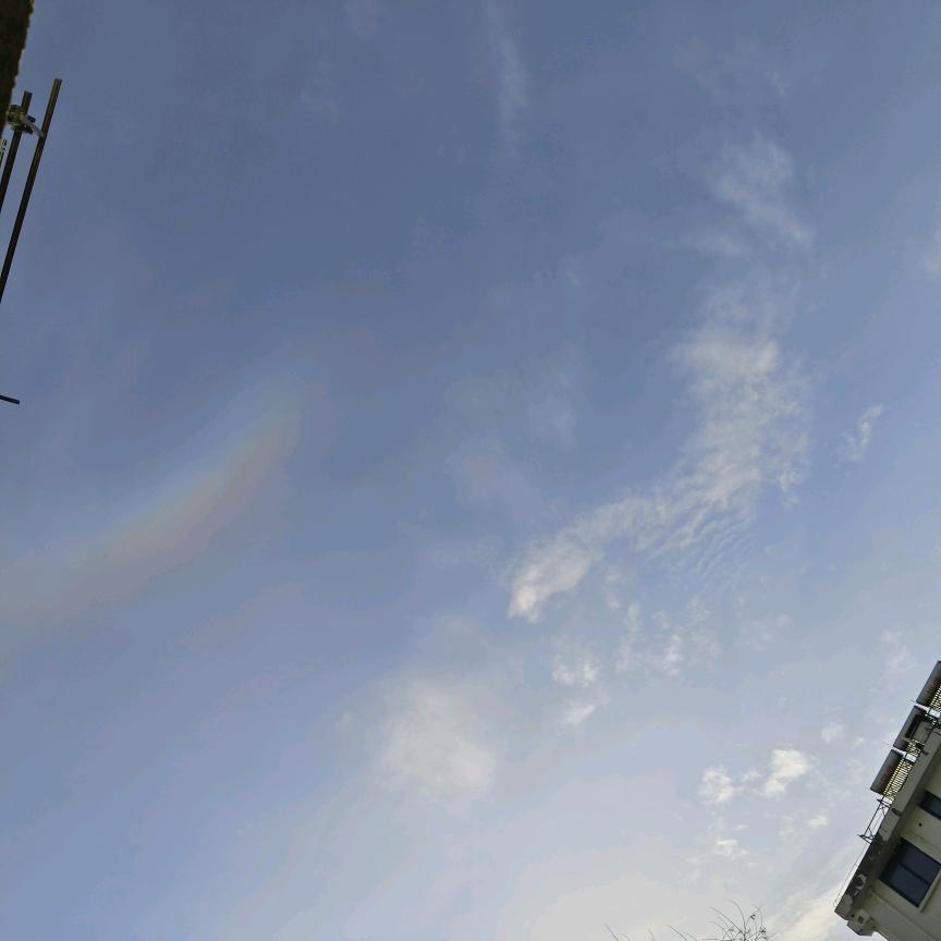 ❤️宿迁媛姐约克夏❤️