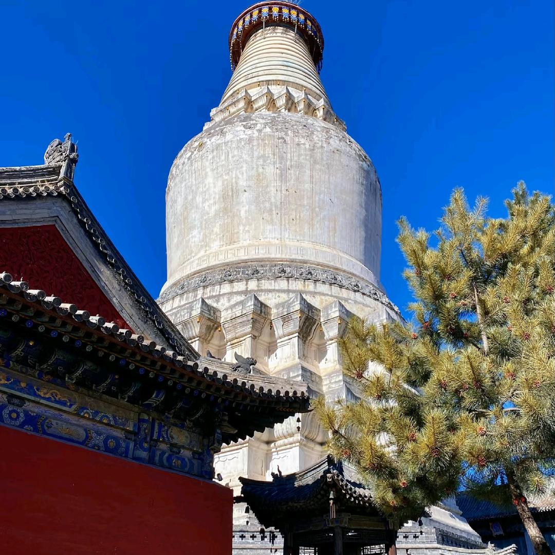 染尘阁工坊店檀语