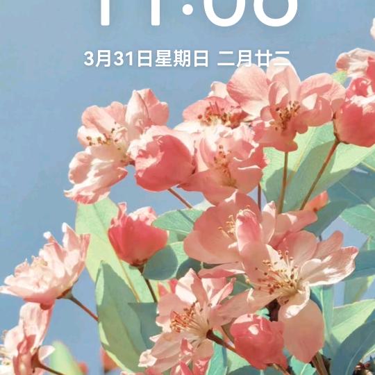 树燕