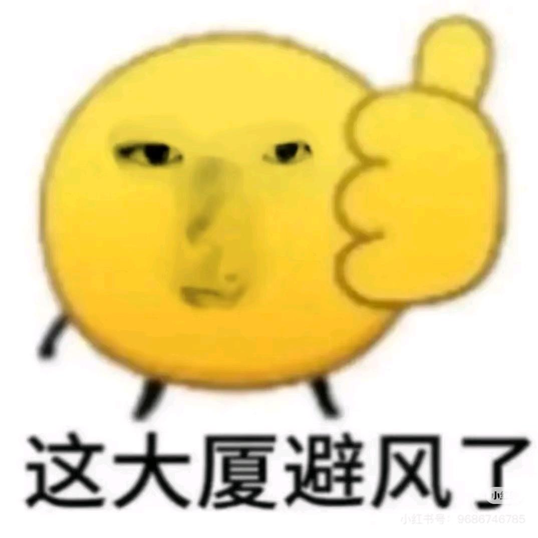 可惜了