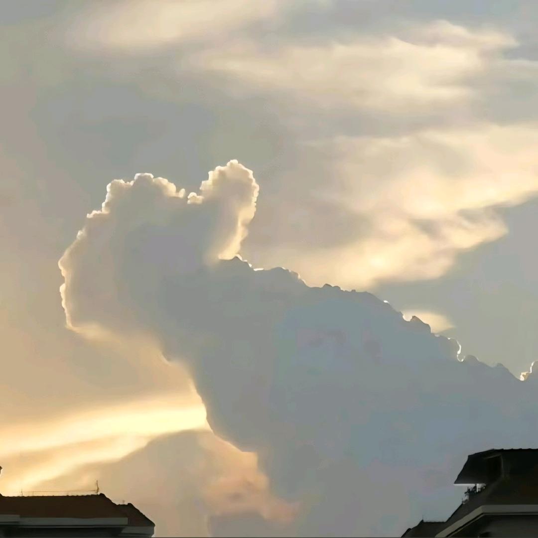 慢点好💫