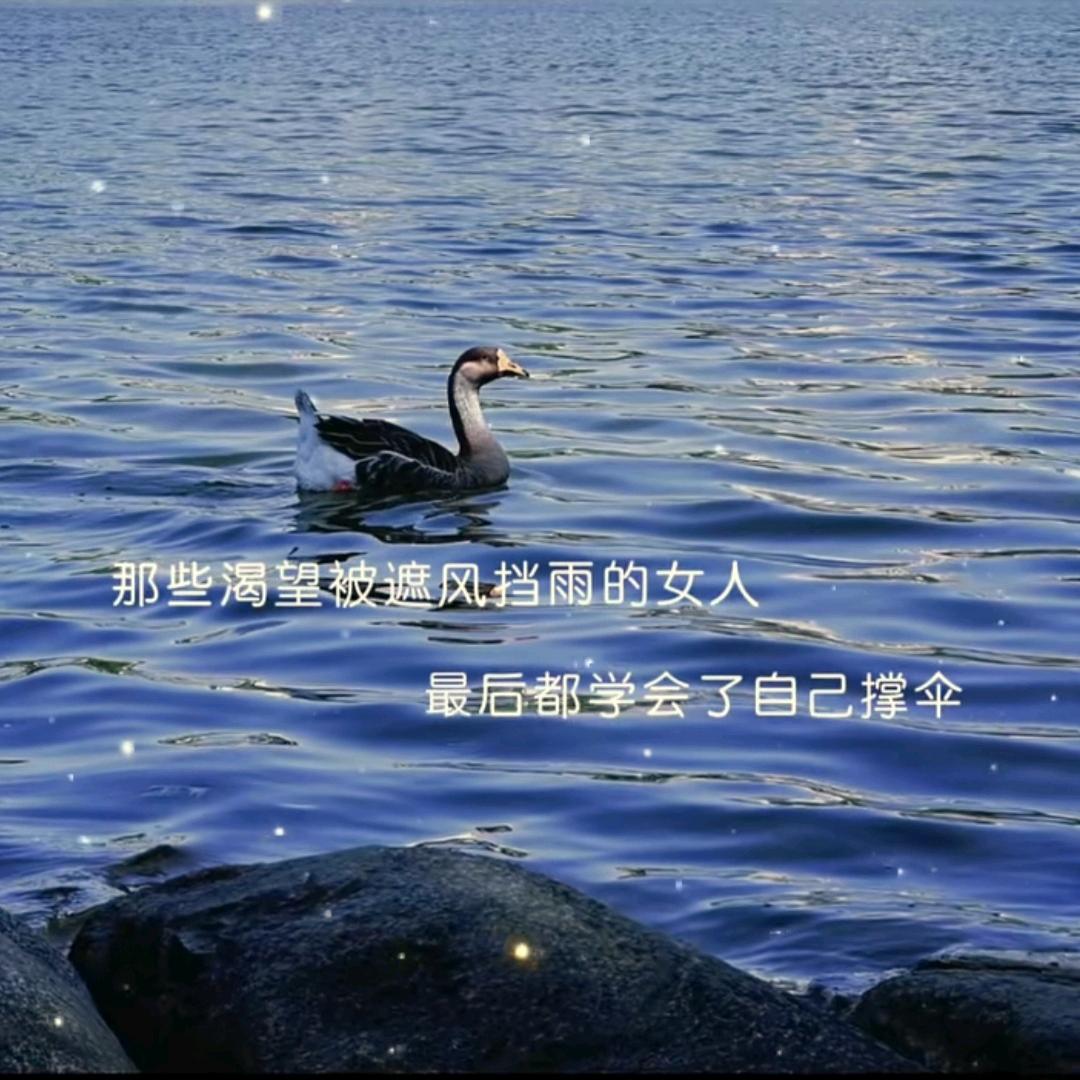 💞青💞