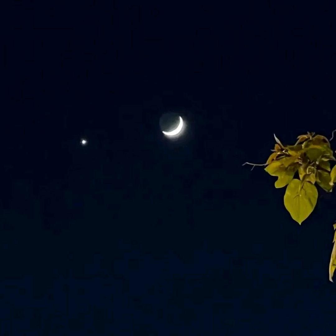 伴月星⭐༽🦋💰