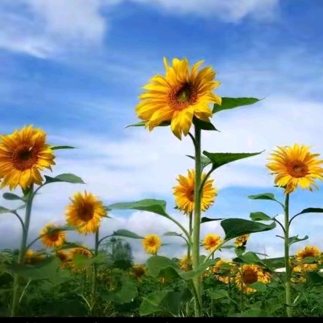 忘掉所有的一切