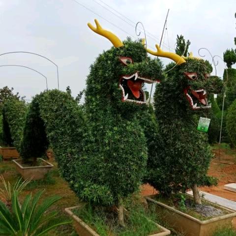 建哥