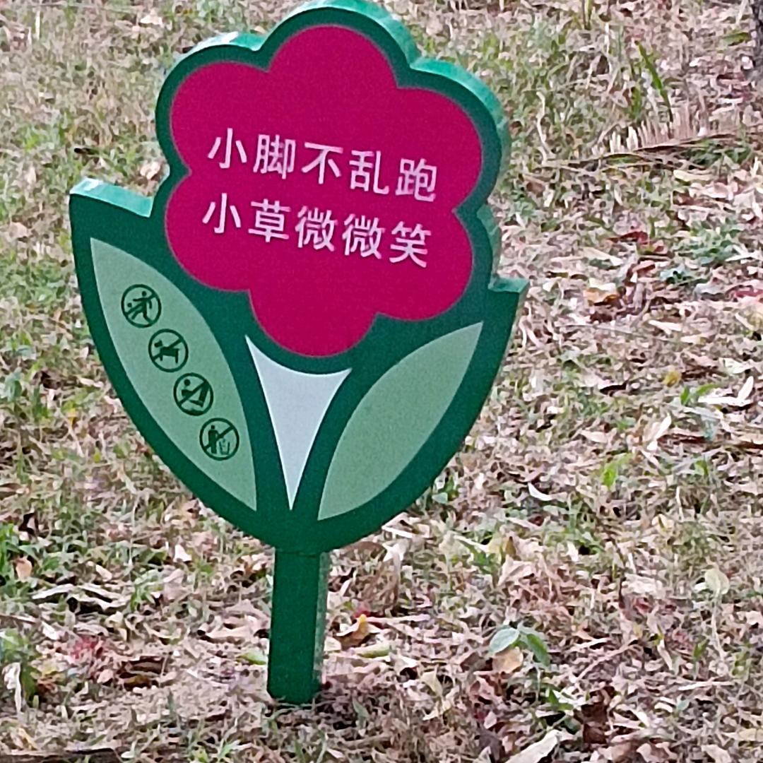 用户花开富贵