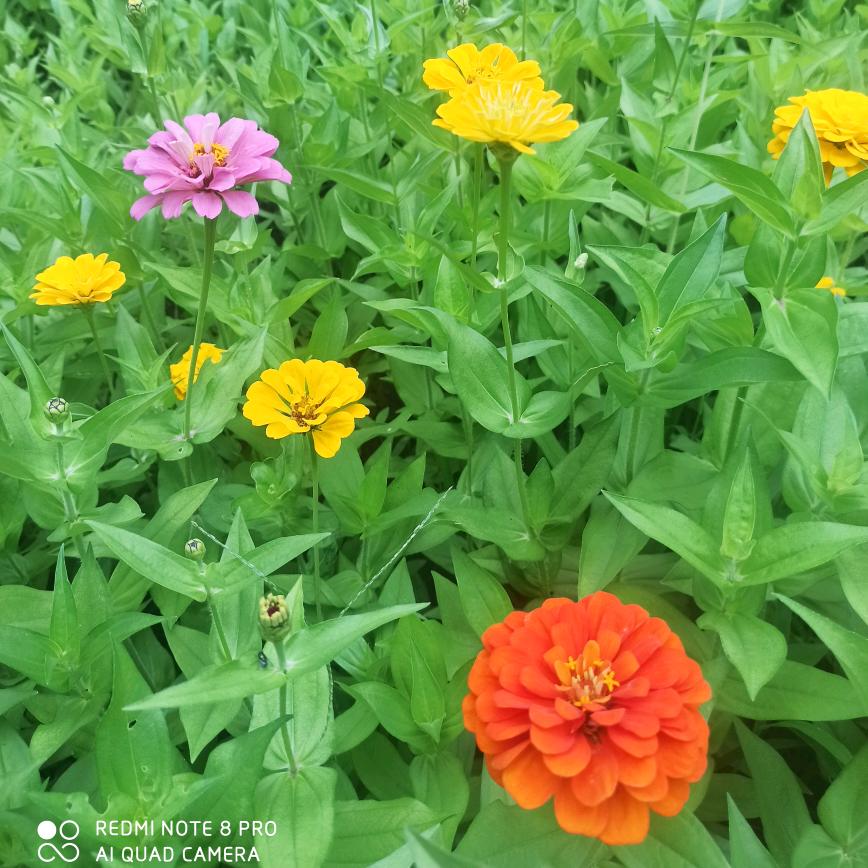 正能量满满💕💕