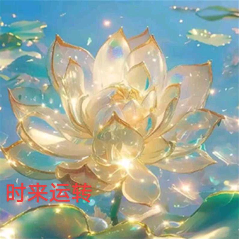 赵惠盺
