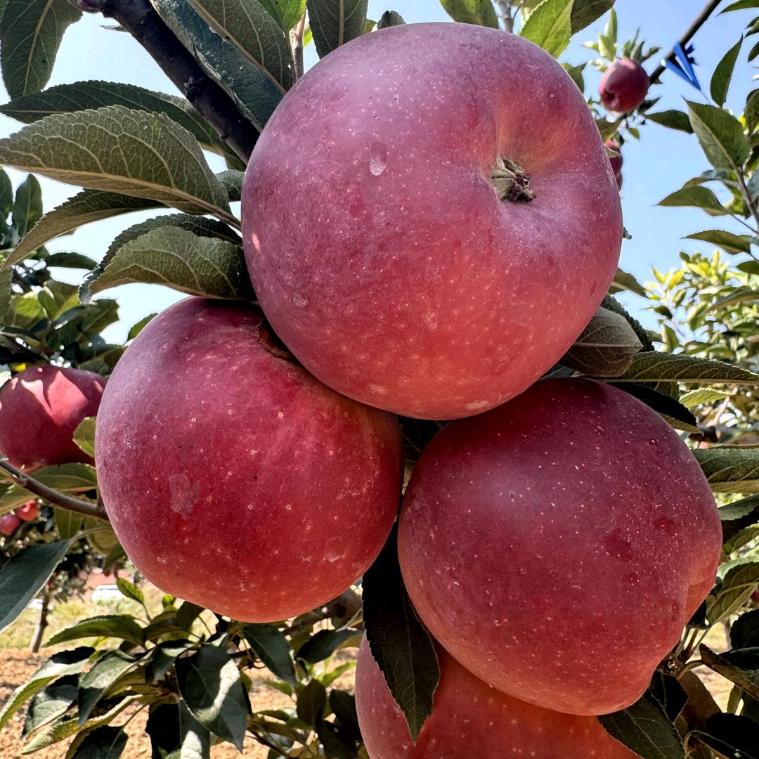 源尚缘生鲜超市