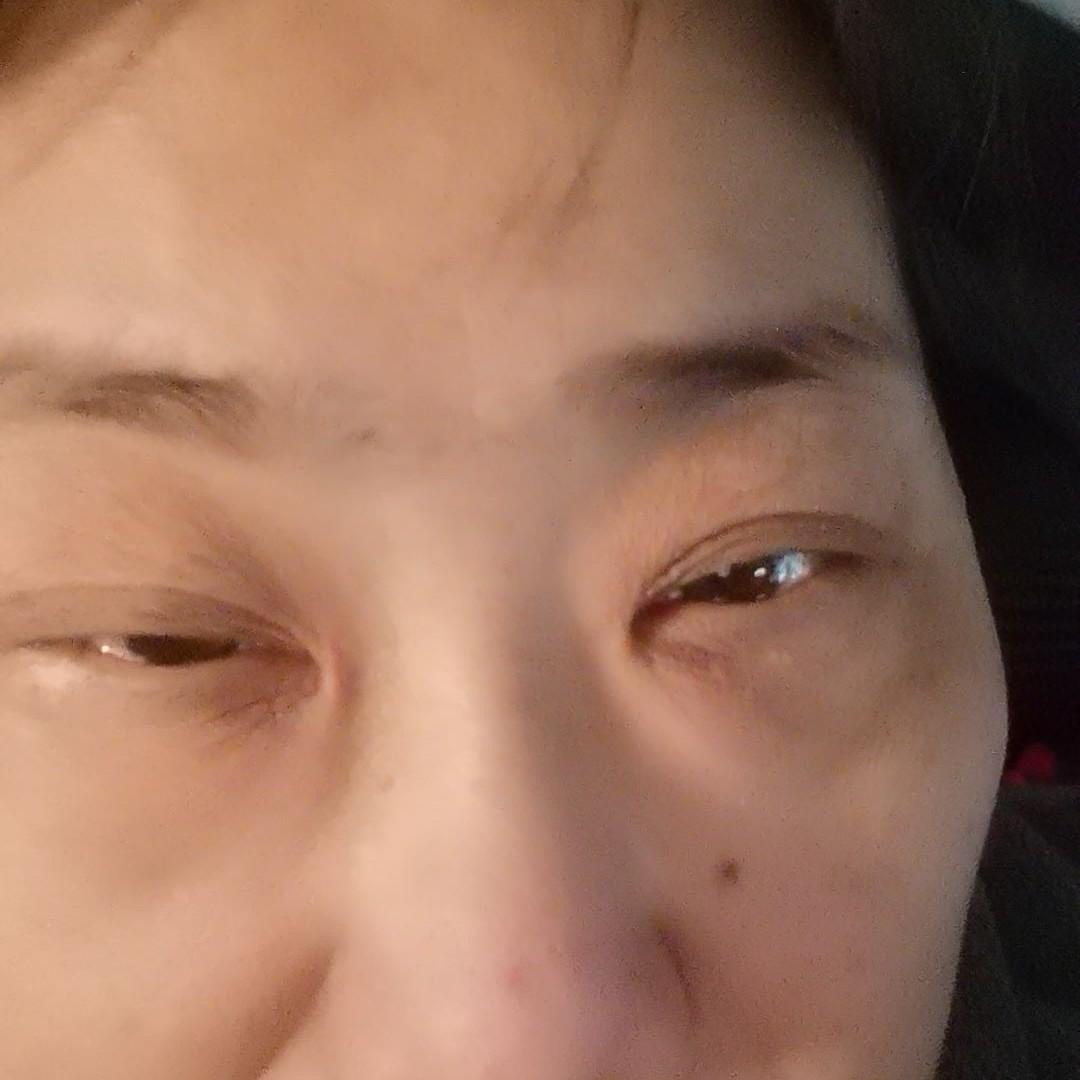 四大皆空猫猫
