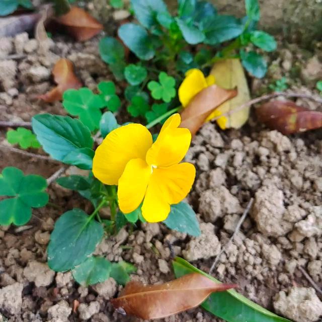 梁飞哥 好📀💿💦