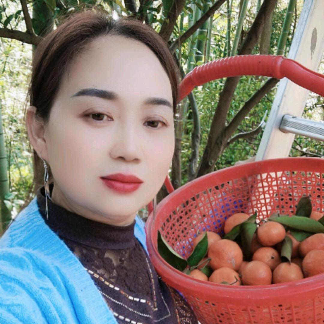 琴姐