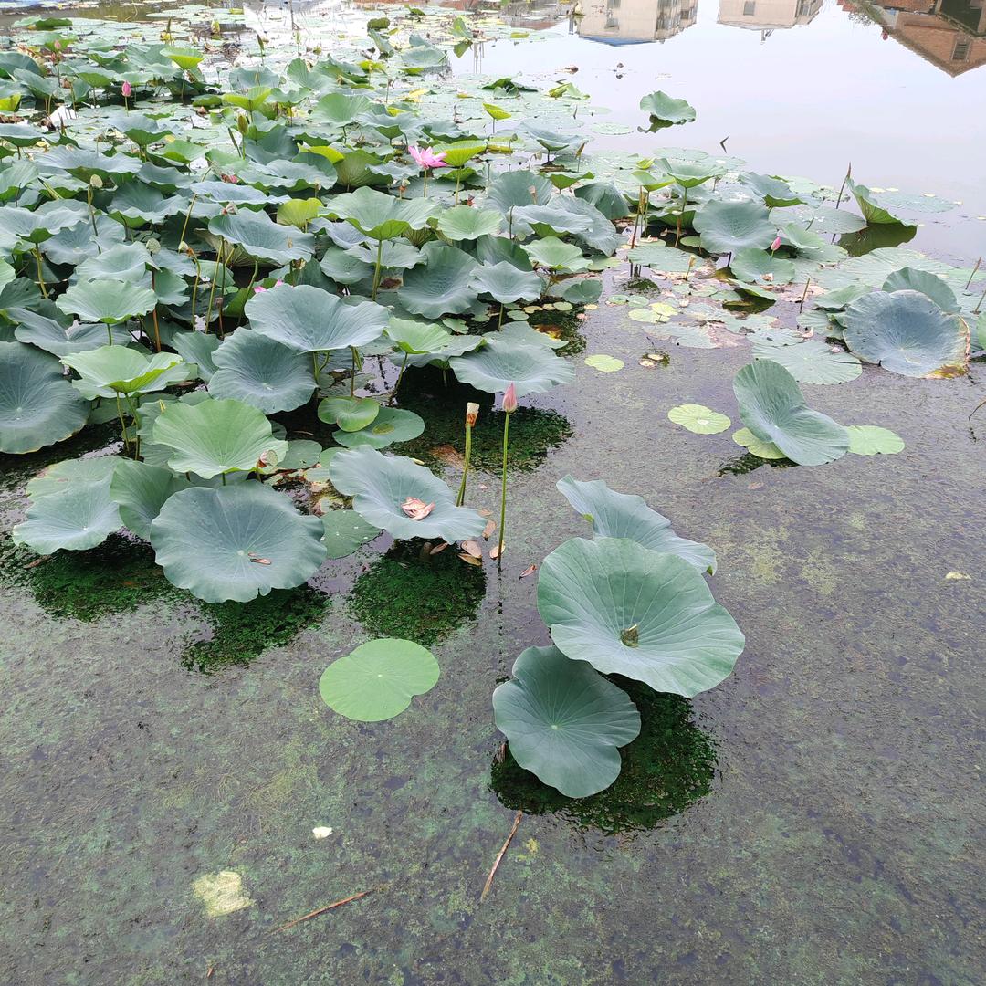 YC～奥帅厨电、欧度卫浴