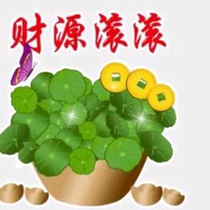 一见钟情。