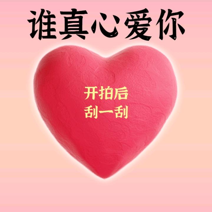 白玫瑰333