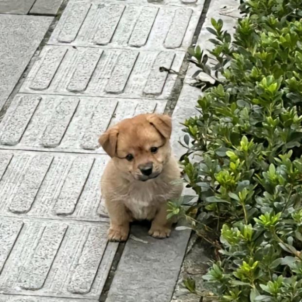 小善缘