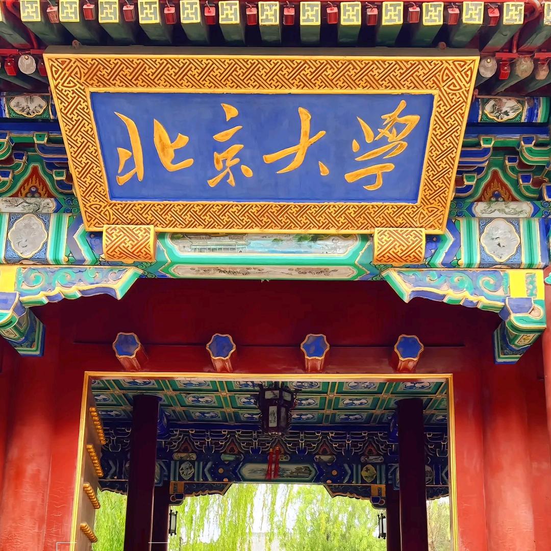 波姐