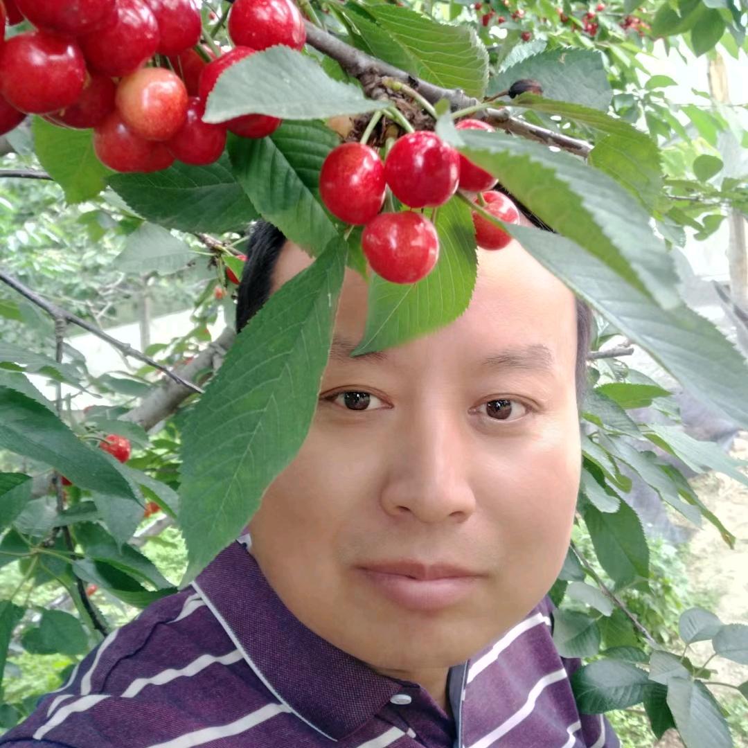 金泉财经