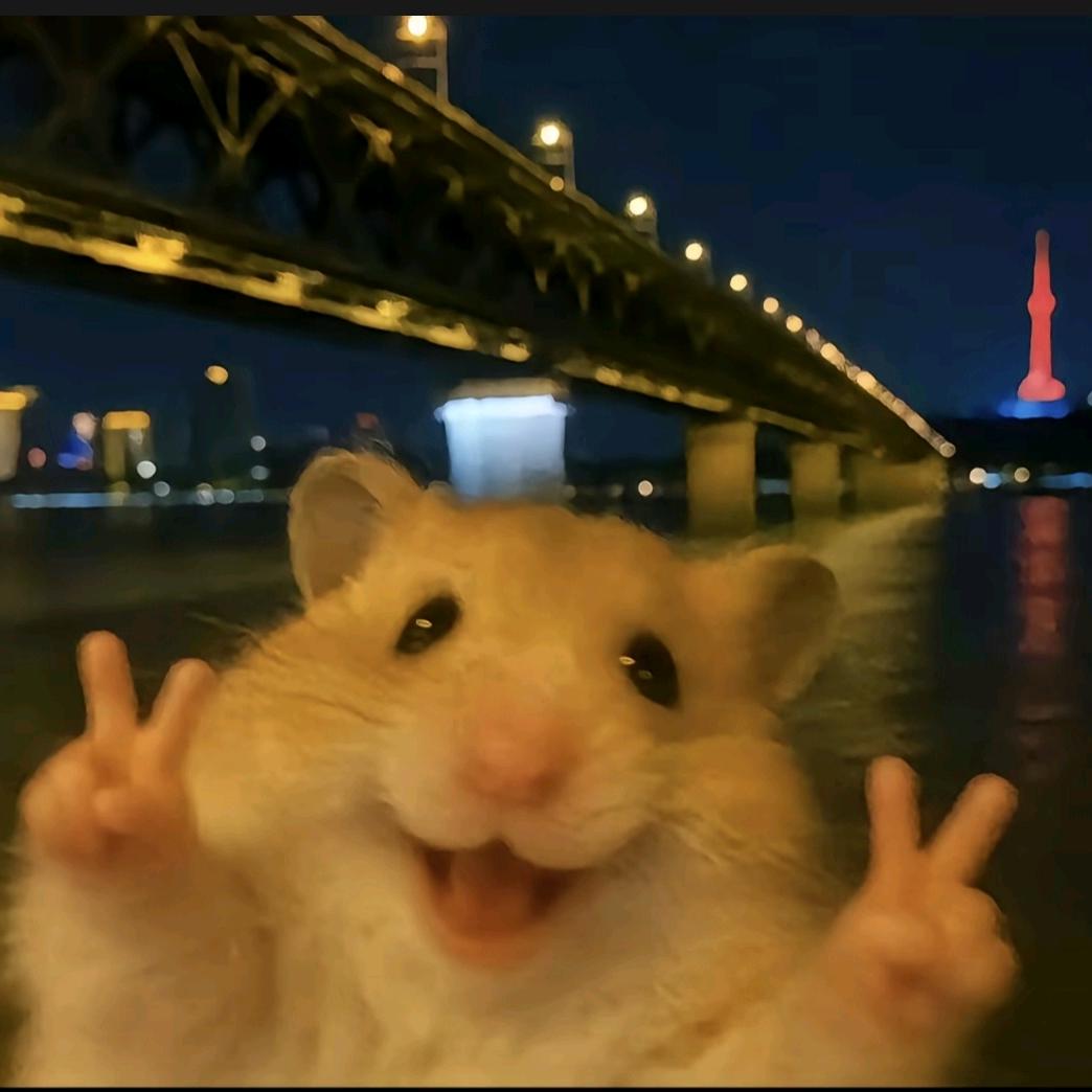 鱿鱼