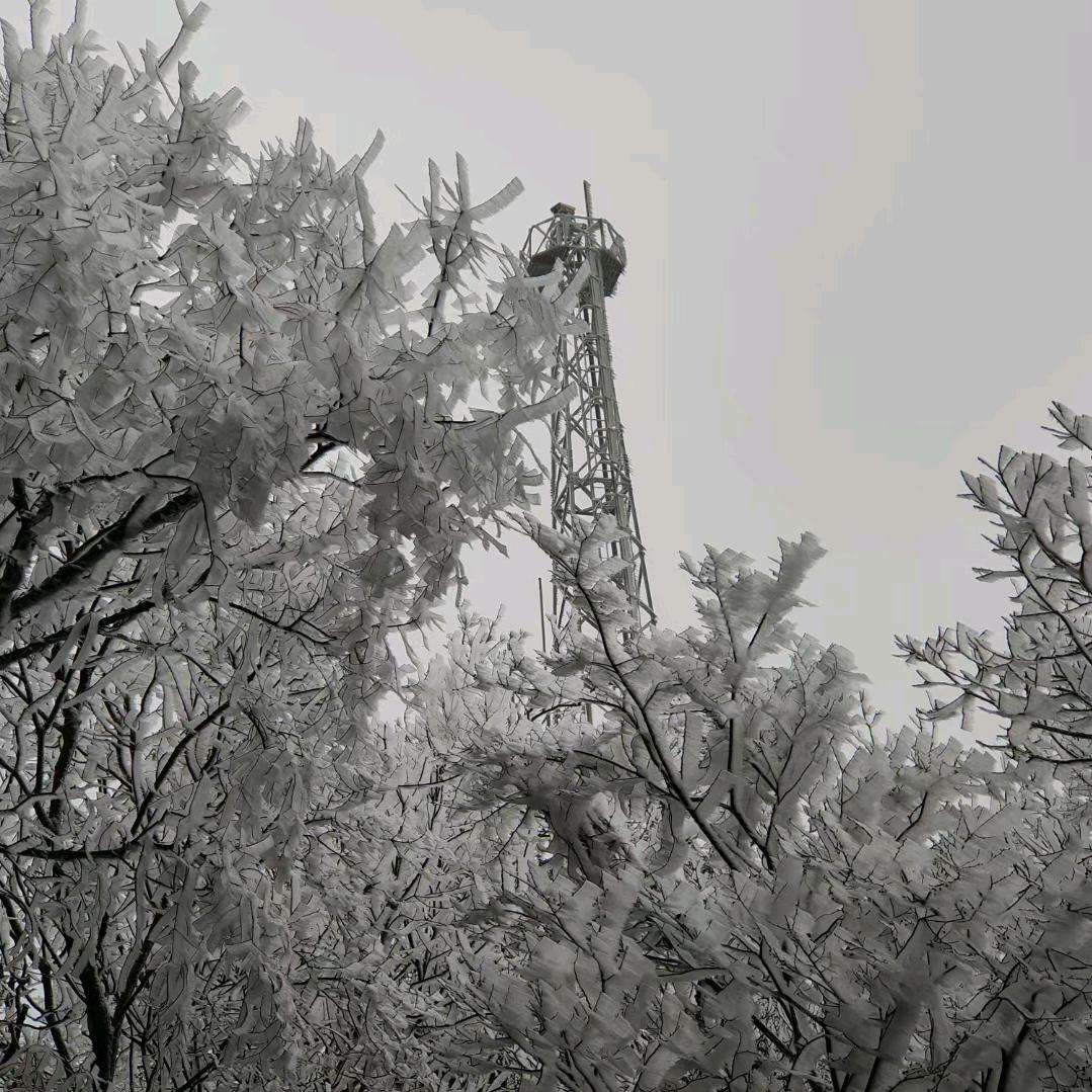 用户9554557129712宁