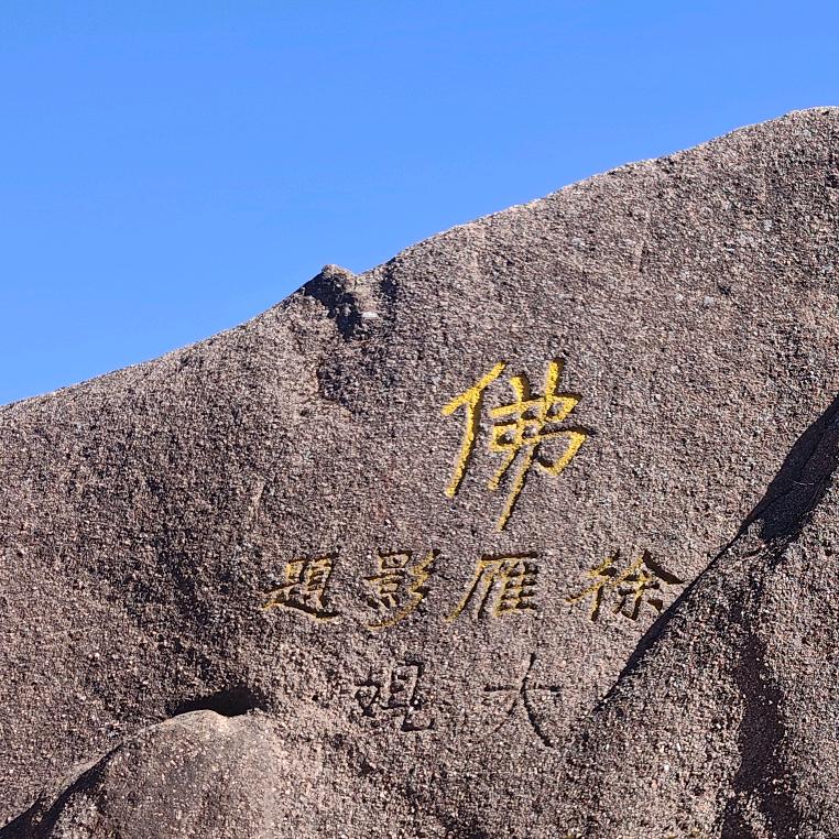 海浪🌿🌿🌿🌿🌿