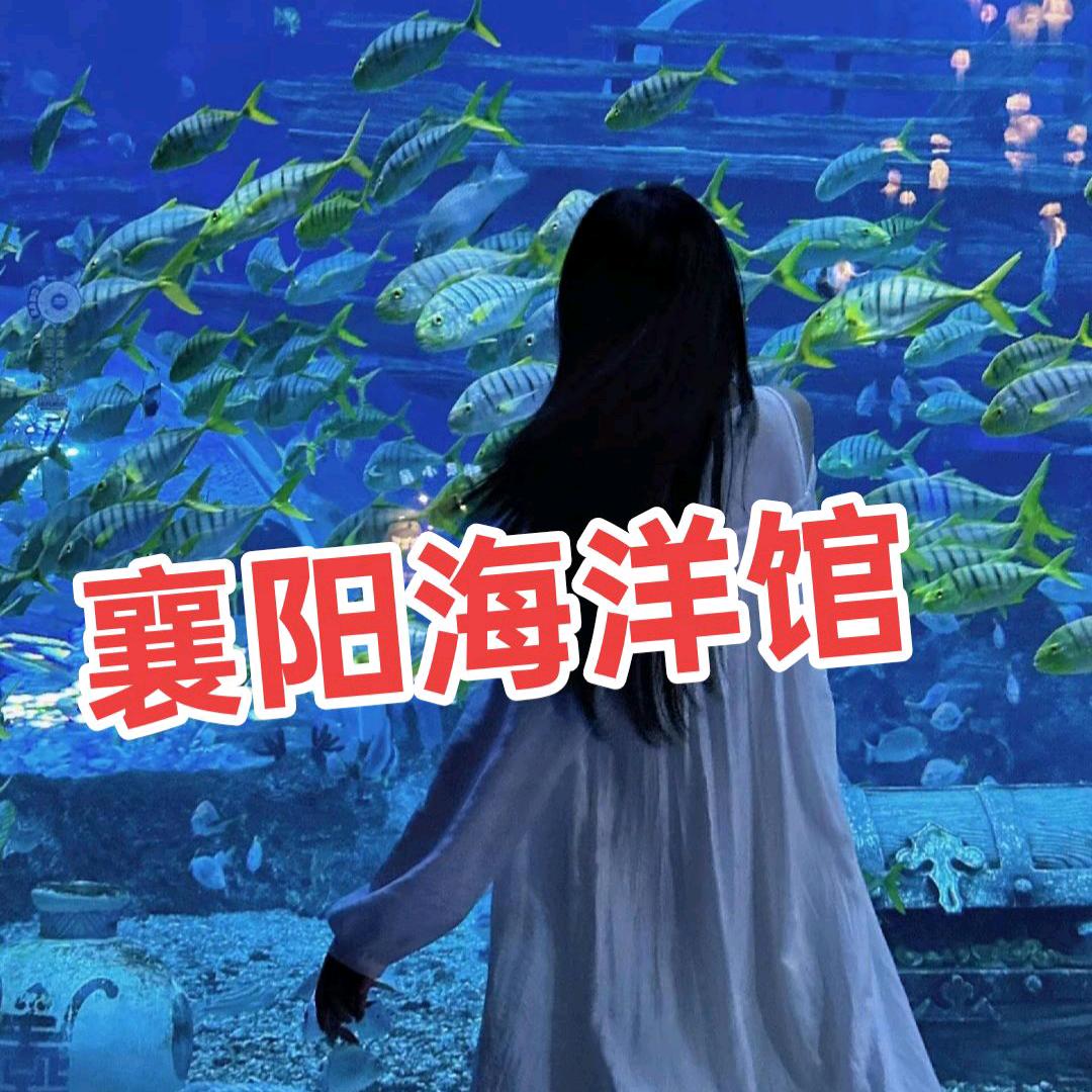 培培～带你游全国