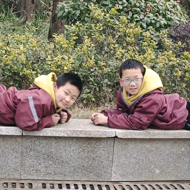 大毛小毛