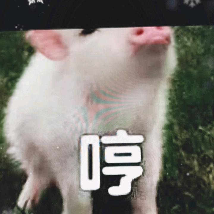 火力全开麦