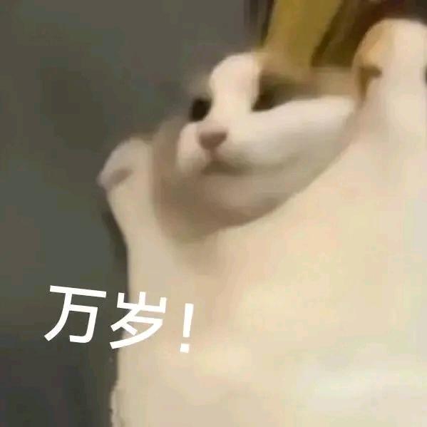 ye猪佩奇