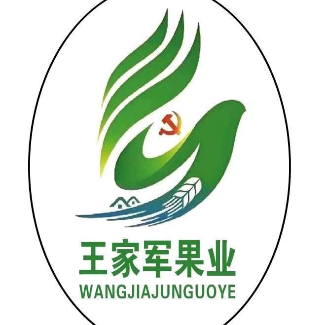西安王家军果业有限公司