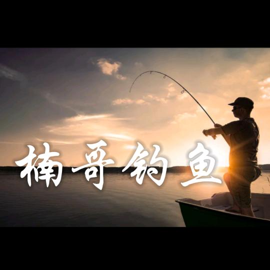 楠哥钓鱼