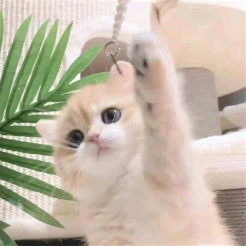 东方思考