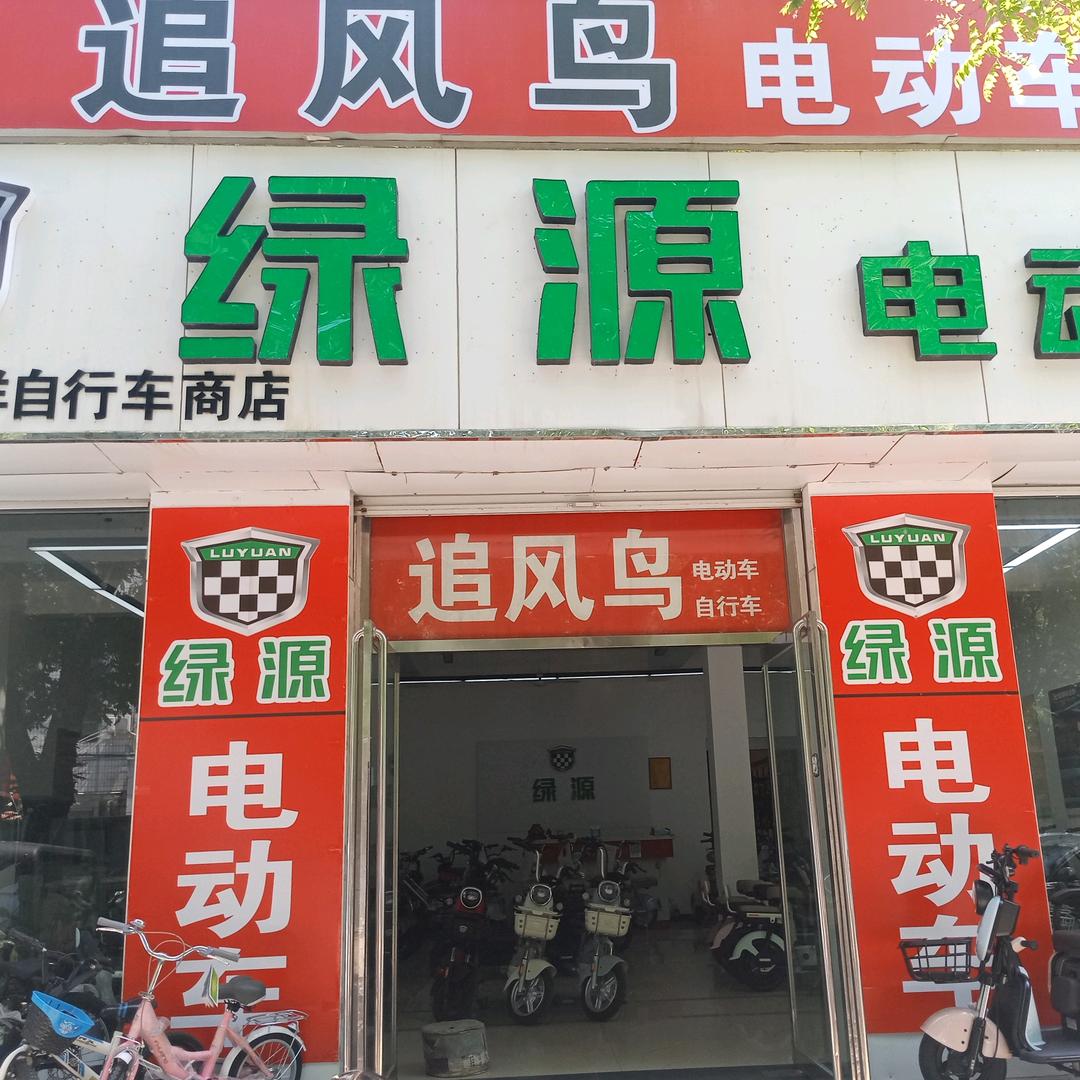 绿源追风鸟电动车