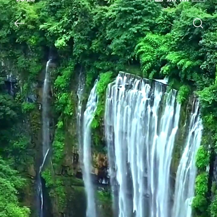 招财猫没了铃铛