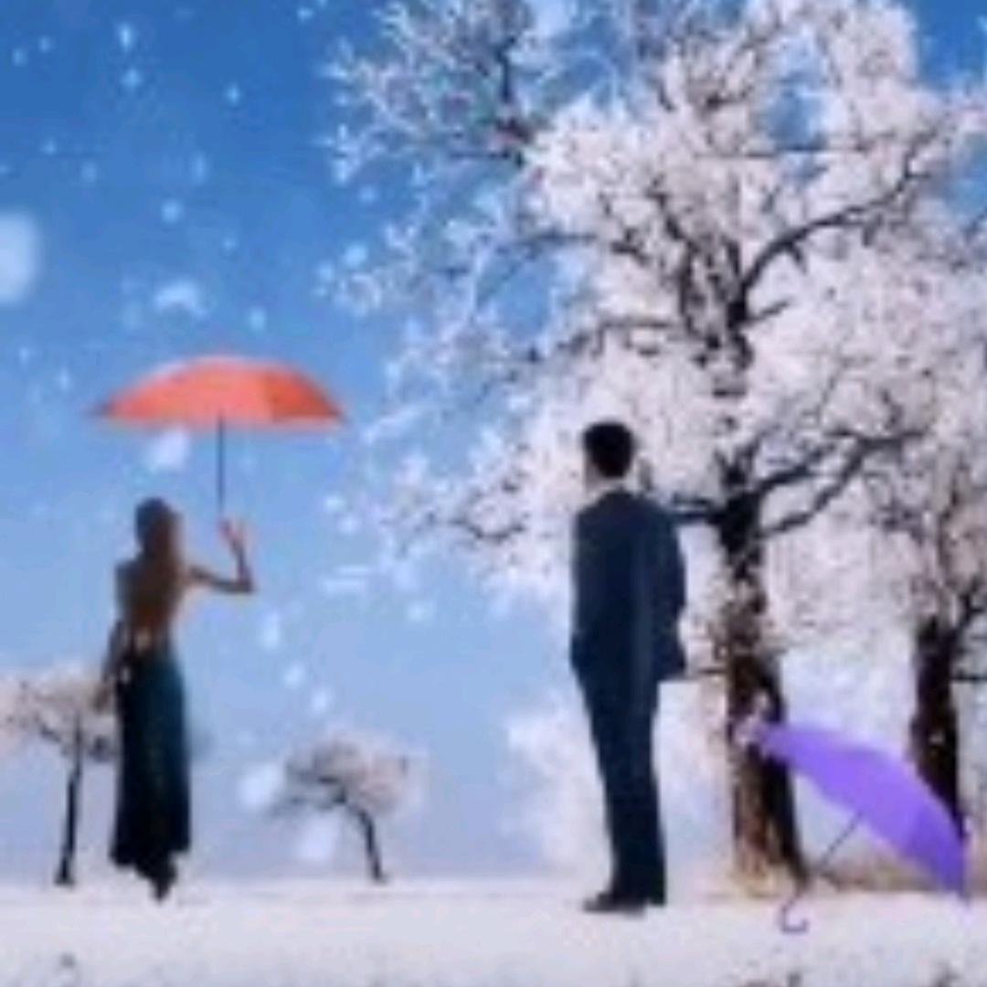 🍀星雨✨🍀✨᭄