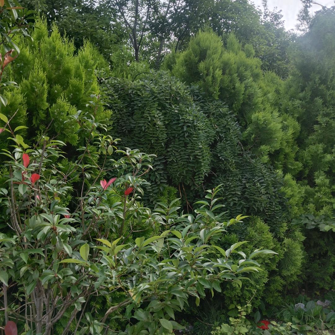 寻找未来